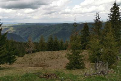 Teren de 15841 mp, în Muntele Rece - 1