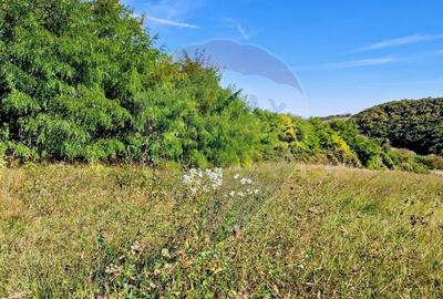 Teren de vânzare în Moldovenești – la 30 de minute de Cluj-Napoca - 2