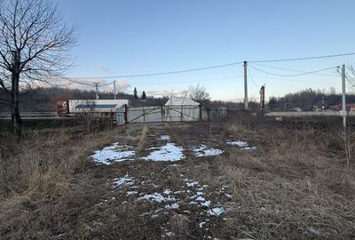 Teren intravilan construcții 10834 mp + construcție- cabană lemn! - 11