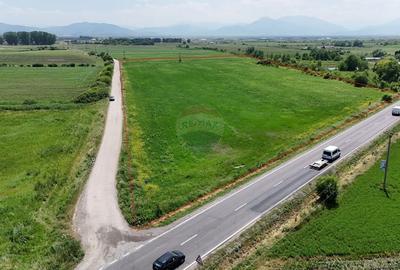 DN11 | 45.000 mp industrial | Front 155 ml | PUZ aprobat | UAT Prejmer - 6