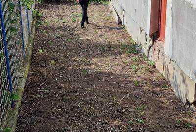 Casă cu 1 camere cu Teren 180 Mp în Dascălu - 4