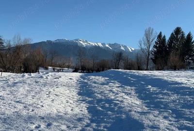 Teren intravilan intre 500 si 1000 mp cu vedere panoramica in zona Bran Tohanita - 7