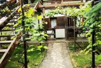 Casă cu 5 camere cu Teren 1900 Mp în Dâmbovița - 10