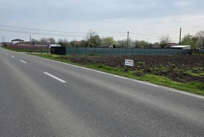 Teren de 500 mp, în Movilița - 3