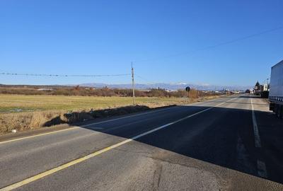 Teren extravilan - constructii, suprafata 49.933 mp, drumul E79, Beius - 5