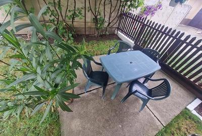 Poveste saseasca la umbra vitei de vie, cu crama si gradina cu flori, Central Co - 33