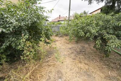 Spatiu birouri central, demisol casa+parter optional-zona Piata Mare - 20
