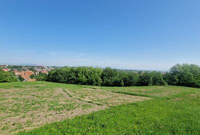 Teren intravilan – 3.101 mp, Tărlungeni, Brașov – ideal pentru casă de vacanta - 11