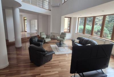 Proprietate impresionanta in apropierea Padurii Baneasa  -  Iancu Nicolae - 10