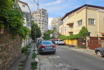 Central-Piata ALBA IULIA-Vanzare vila interbelica cu 2 apartamente individuale! - 2