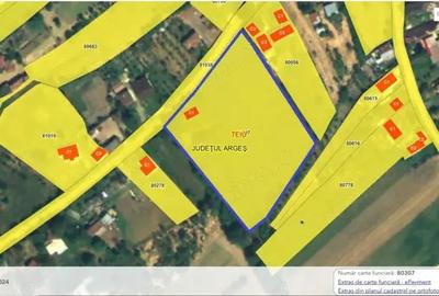 Teren 6.254 mp,Teiu Intravilan,Deschidere 75 ml, Curent,Comision 0% - 2