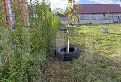 Teren de 703 mp, în Sânmihaiu German - 4