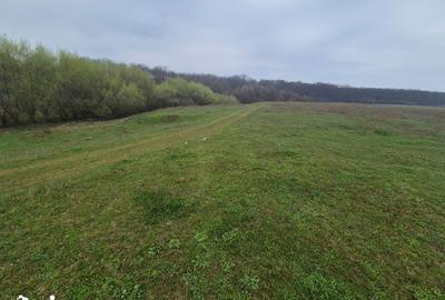 Teren de 2200 mp, în Mitocu Dragomirnei