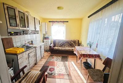 Vanzare casa si teren - 4