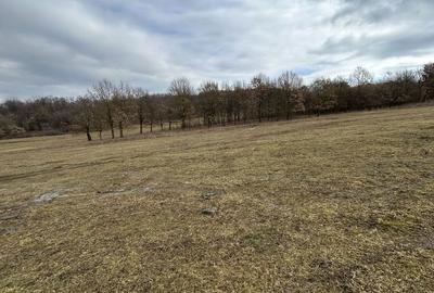 Spațiu comercial, în Nimigea - 3