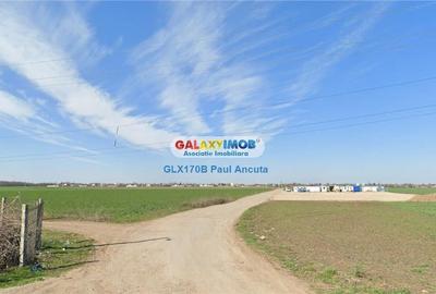 Teren 11 Ha acces Nod Autostrada A2 Gara Fundulea  Industrial - 5