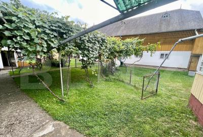 Casă cu 3 camere cu Teren 1499 Mp în Fălticeni - 5