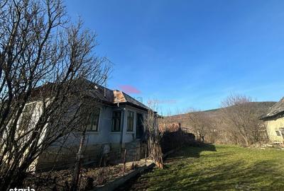Casă cu 3 camere în Nireș - 6