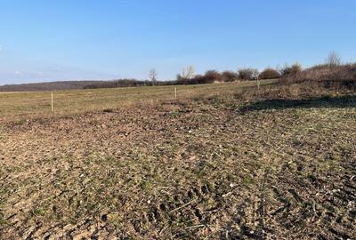 Teren Construcții intravilan de 903 mp, în Paleu - 4