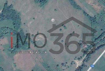 Teren 15 Hectare in sat | Mihaesti | Arges - 3