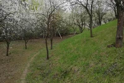 Casă cu 4 camere în Izvoru Dulce (Merei) - 3