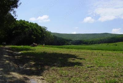 Teren de 90000 mp, în Central