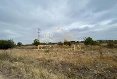 Vanzare teren intravilan zona industriala 5000 mp - Chiajna A1, Ilfov - 4