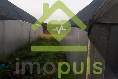 ? Teren intravilan in Jupani (Timis), 10,19 Euro/mp.? - 13