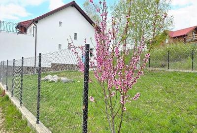 Casă cu 4 camere în Sadu - 1