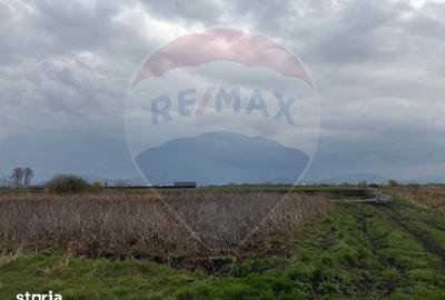 Teren de 45000 mp, în Hărman - 1