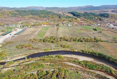 Teren Construcții intravilan de 38054 mp, în Groși - 5
