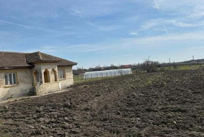 Casă cu 4 camere cu Teren 4276 Mp în Pecineaga - 3