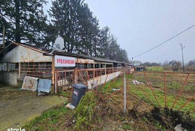 Teren de 2500 mp, în Gura Ocniței - 3