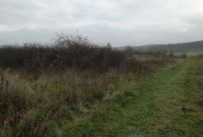 Teren în Central - 7