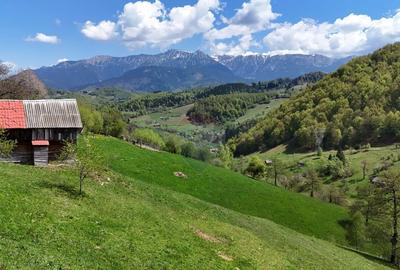 Comision 0% I Peisaj spectaculos | Utilita?iITeren intr... - 2