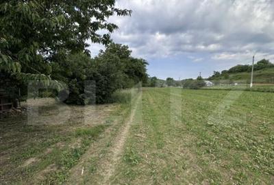 Teren intravilan, 5.800 mp, zona Ca?cau - 1