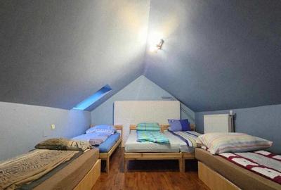 Casa/Pensiune,doua imobile intr-unul singur de vanzare, Valea Bratcu - 11