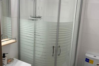 Apartament cu 3 camere decomandat în Ferdinand - 15