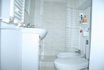 Apartament cu 2 camere semidecomandat, mobilat în Centrul Civic - 9