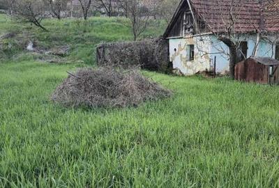 Teren de 719 mp, în Podgoria - 3