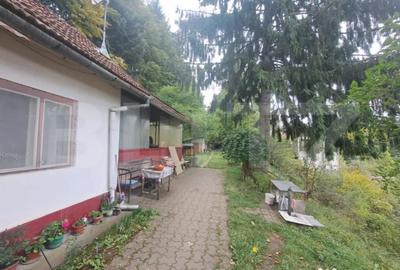 Casă cu 2 camere cu Teren 1000 Mp în Vulcan - 9