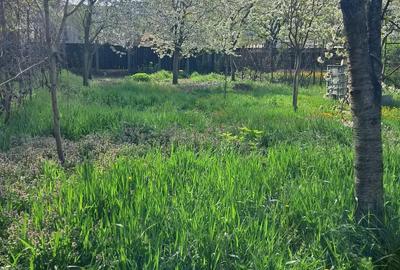 Zero comision!!! Zona Lunei, teren suprafa?a 827 mp, front stradal 16 metri, pre? 300 euro mp - 1