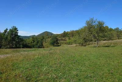 Teren de 8757 mp, în Luncoiu de Sus - 3