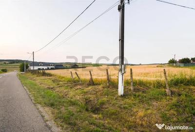 Teren de 1000 mp, în Lăzăreni - 4