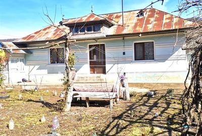 Casa, teren si padure, in sat Siscani, jud Vaslui - 11
