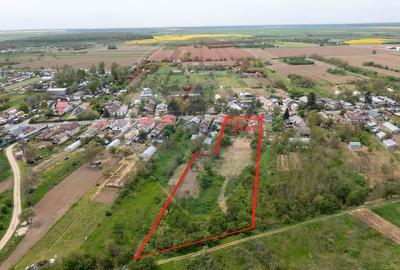 Teren Construcții intravilan de 6000 mp, în Ogrezeni - 7