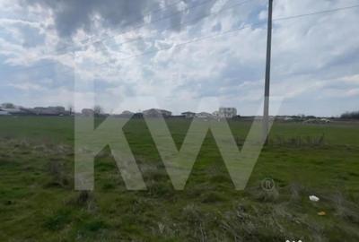 Teren în Cârcea - 5