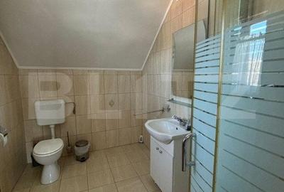 Casa cu destinatii multiple, 8900 mp teren, Vatra Moldovitei - 19