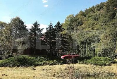 Casa de Vacan?a pe Valea Ighielului 3 camere, 2500 mp curte - 14