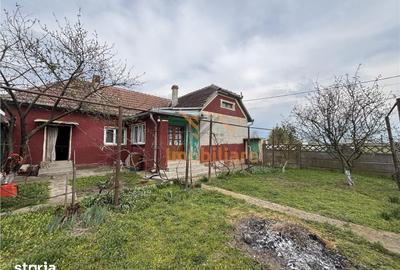 Casă cu 4 camere cu Teren 1654 Mp în Cefa - 9